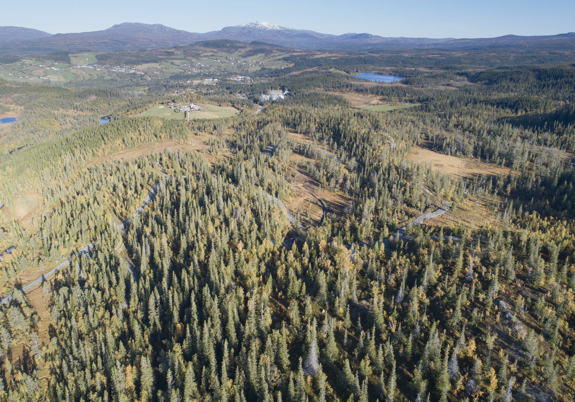 Dronefoto av Fossan hyttefelt med veier og skoglandskap. Foto